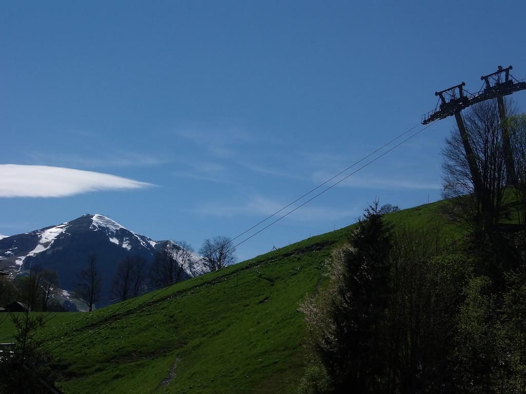 Haus Bergheim Apartment Saalbach-Hinterglemm Luaran gambar