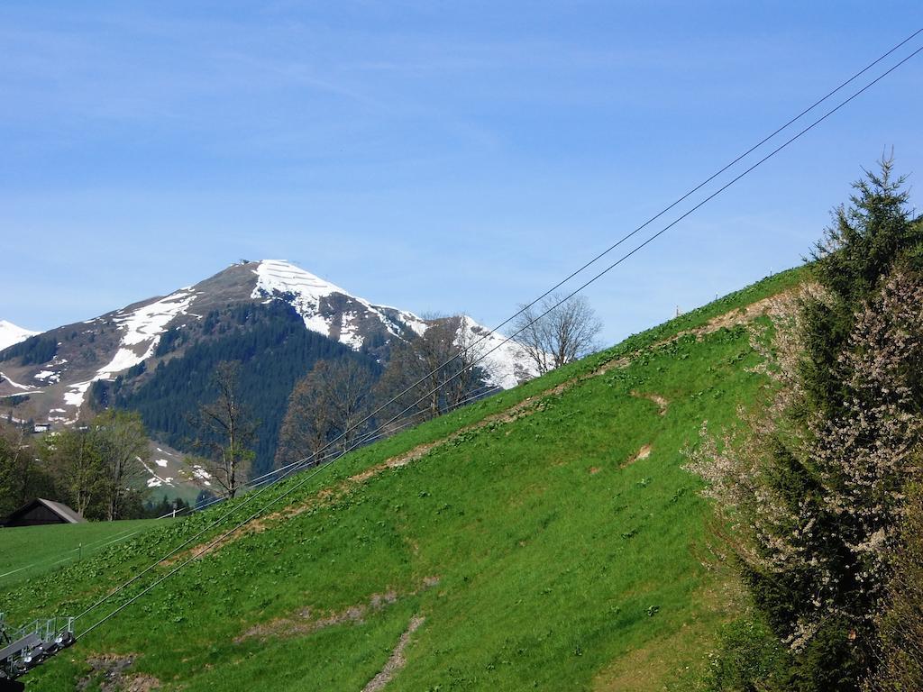 Haus Bergheim Apartment Saalbach-Hinterglemm Luaran gambar